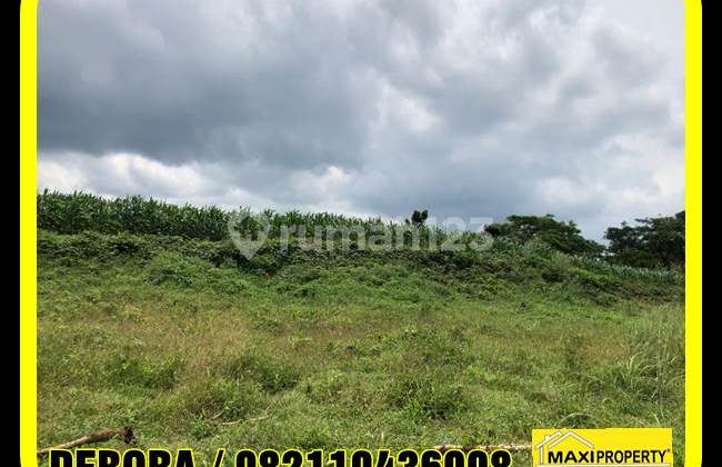 Saatnya Ekspansi Ke Sukabumi, Harga Masih Murah, Umr Masih Rendah 15