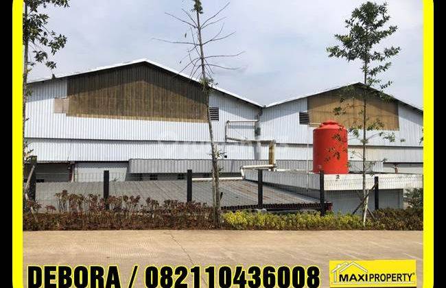 Kavling Industri 1 Hektar, Jalan Cor Lebar, Cocok Untuk Ekspansi 25
