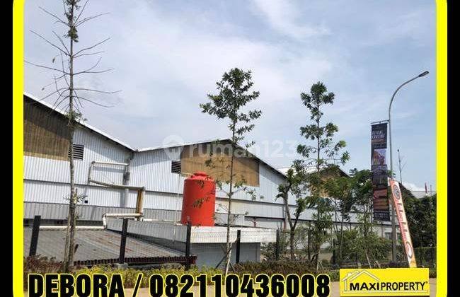 Kavling Industri 1 Hektar, Jalan Cor Lebar, Cocok Untuk Ekspansi 29