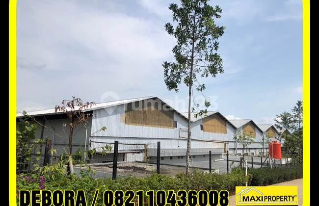 Kavling 5 Hektar, Cocok Untuk Padat Karya, Umr Masih Rendah 20