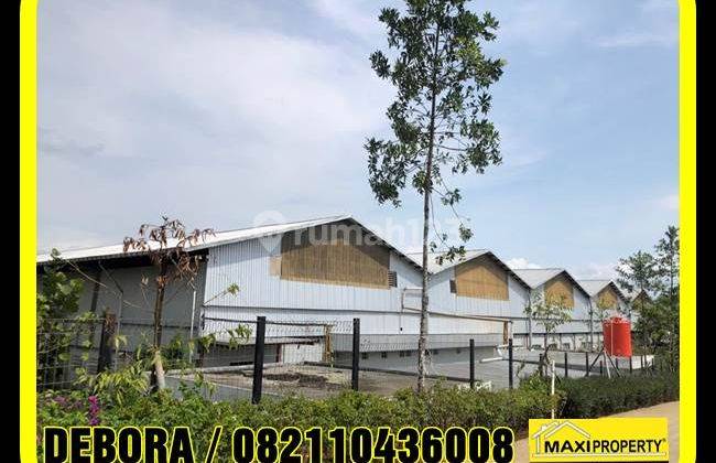 Kavling Industri 5000 M, Jalan Lebar, Bebas Banjir,cocok Ekspansi 19