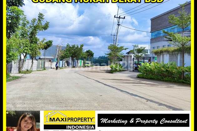 Gudang Industri Akses Container 40 Ft, Inden 8 Bulan, Bisa Custom 18