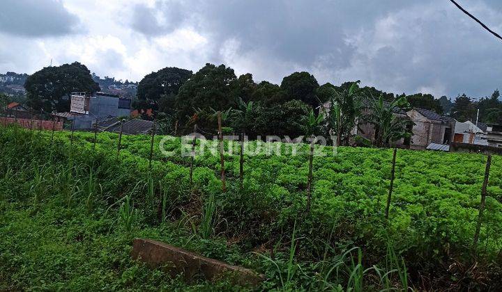 Tanah Mainroad Kolonel Masturi Cocok Untuk  Usaha Butik Villa 1