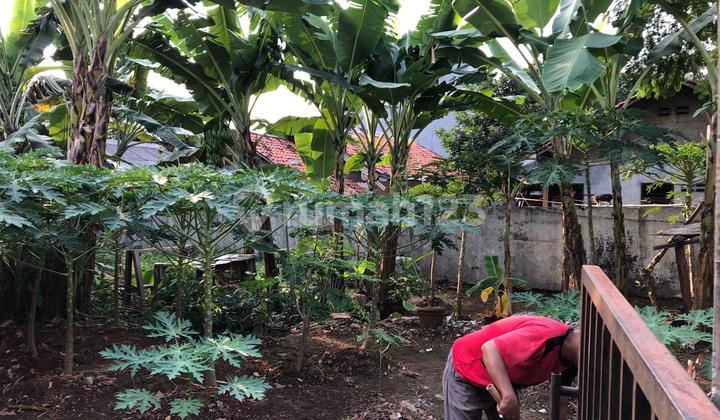 Tanah Siap Bangun Lokasi Kebagusan, Jaksel Tanah Siap Bangun Lokasi Kebagusan, Jaksel
