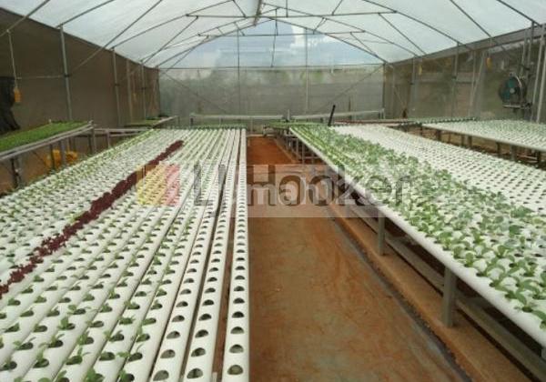 Dijual Gudang Perkebunan di Bojong Sari, Depok Dijual Gudang Perkebunan di Bojong Sari, Depok