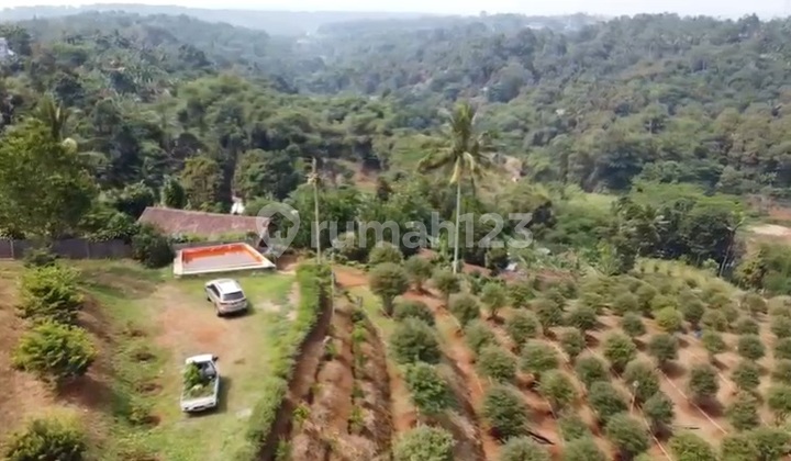 For Sale: Land with Grape Garden in Sukabumi