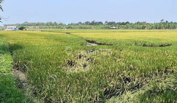 Tanah Super Murah Di Lingkar Timur Sidoarjo 2