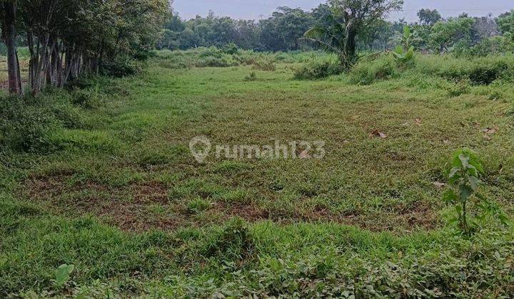 Tanah Super Murah Di Ngoro Mojokerto Cocok Utk Gudang 1