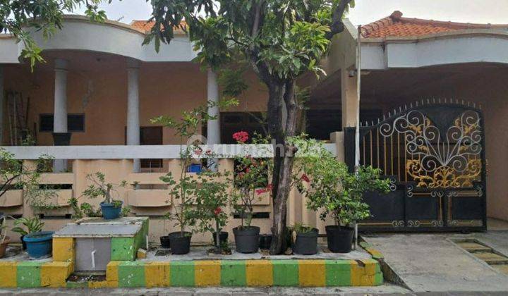 Rumah Super Murah Di Rungkut Merr Surabaya. Siap Huni 1