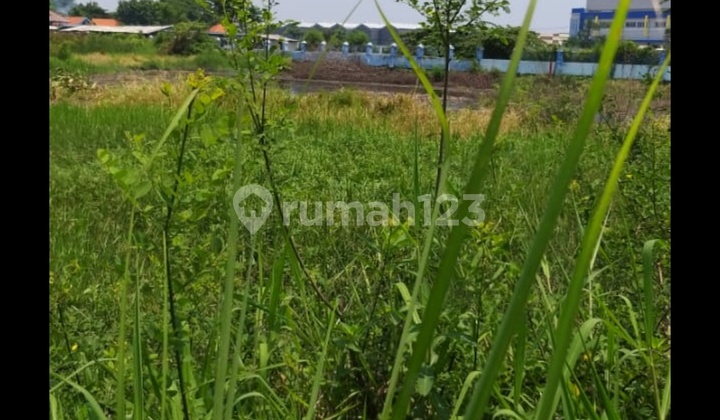 Tanah Industri Sangat Murah Di Nol Jalan Raya Lingkar Timur Sidoarjo