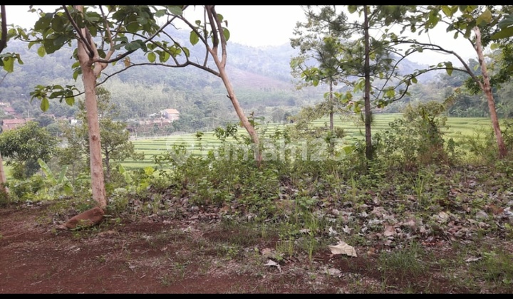 Tanah Super Murah di Mojokerto Cocok Utk Tmpt Wisata Kuliner Villa Perumahan Dll