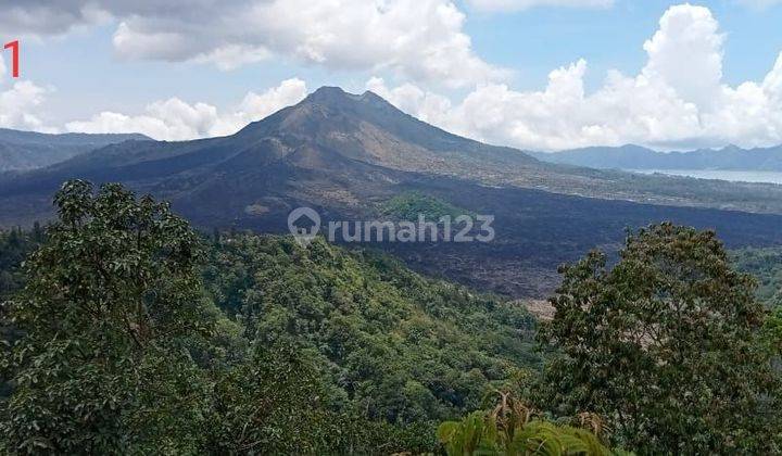 Dijual tanah penelokan kintamani Bangli  2