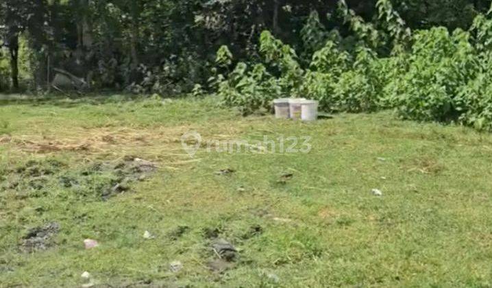 DIJUAL TANAH PENGILIAN DEKAT PANTAI BERAWA 2