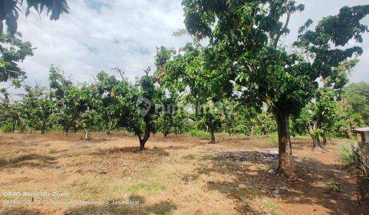  Dijual Tanah Cocok Untuk Komersial, Dekat Bandara Kertajati 2