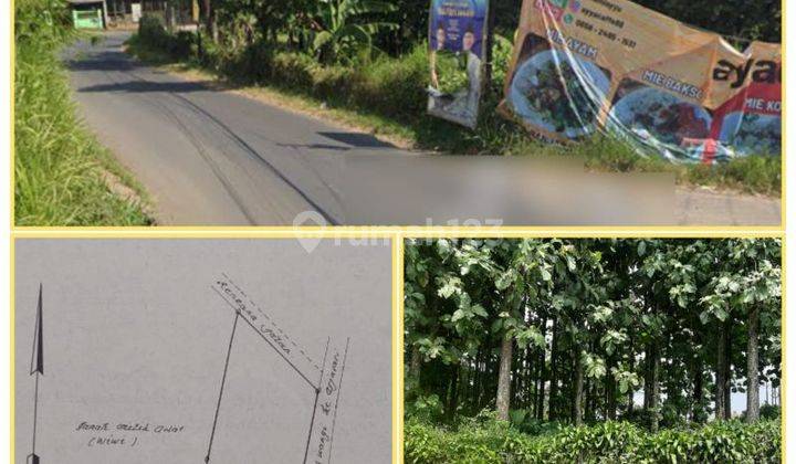 Kebun 2.460 m2 pinggir Jl. Raya Banjaran-Arjasari
arah Arjasari 2