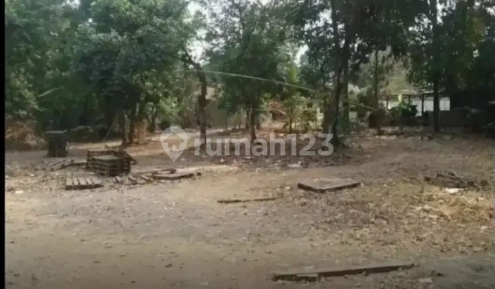 TANAH SHM DI JATIASIH BEKASI DIJUAL MURAH Lokasi Strategis Di Jl Parpostel Raya Jatiluhur Jatiasih Cocok Dibangun Cluster dan Gudang Akses Lebar Masuk Kontainer Aman Tidak Banjir  7