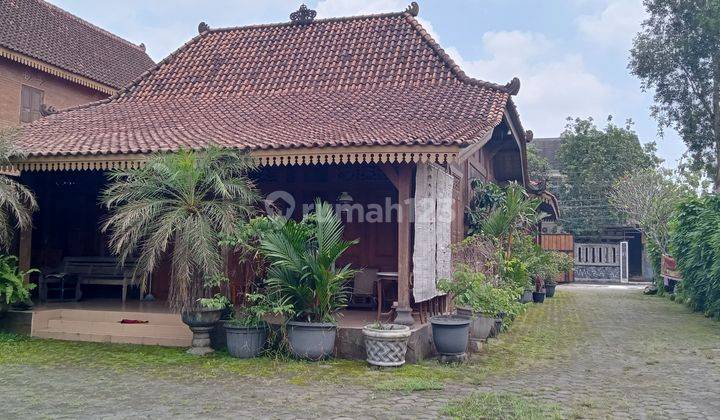 Rumah dan Ruang Usaha Cocok Buat Guest House di Yogyakarta  1