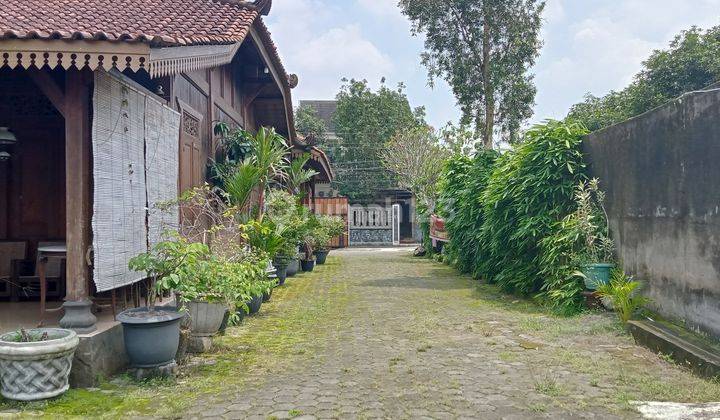 Rumah dan Ruang Usaha Cocok Buat Guest House di Yogyakarta  2