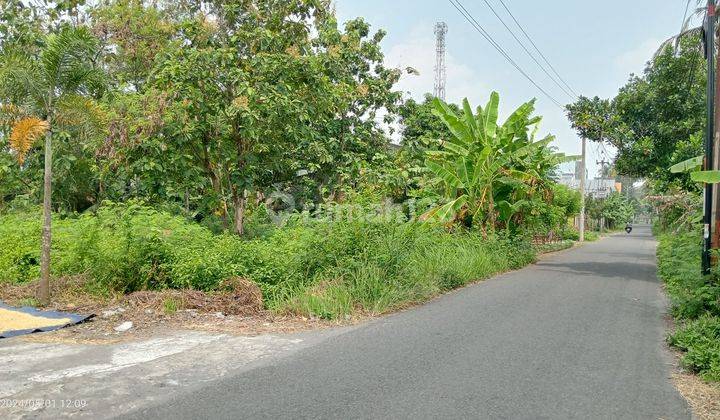 Tanah Pekarangan Belakang Kampus UMY  2