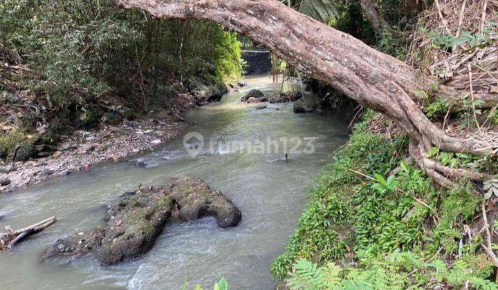 Tanah Pekarangan Buat Vila atau Joglo 1