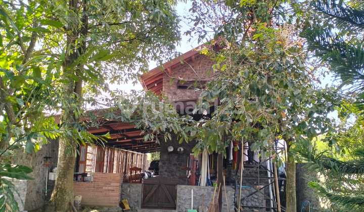 Rumah American Classic