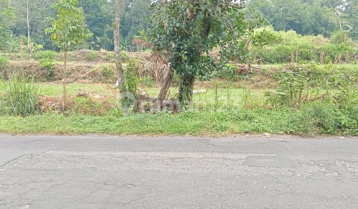 Tanah Terasering Utara Jogja Tanah Terasering Utara Jogja