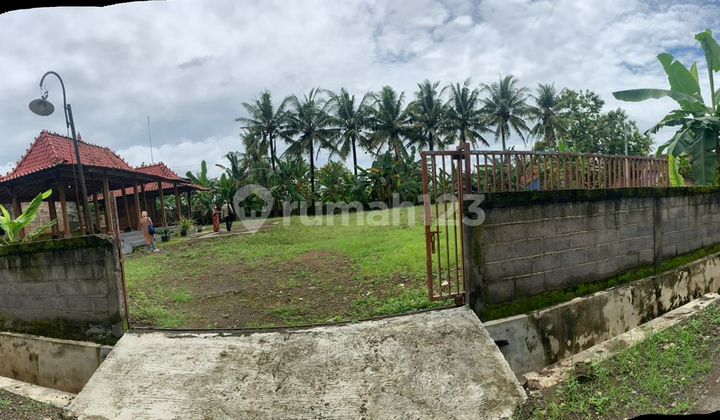 Bonus Land Limasan Kulonprogo