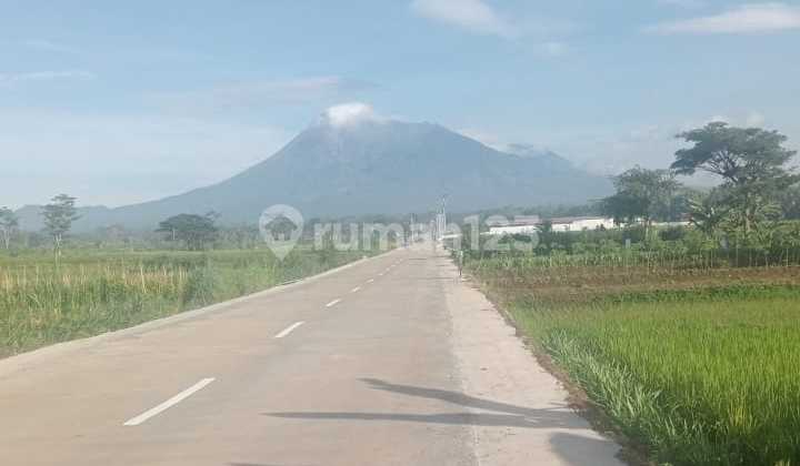Tanah Manisrenggo Klaten