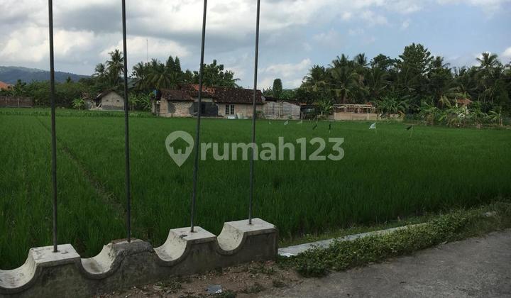 Yellow Lane Sawah Tanan Imogiri