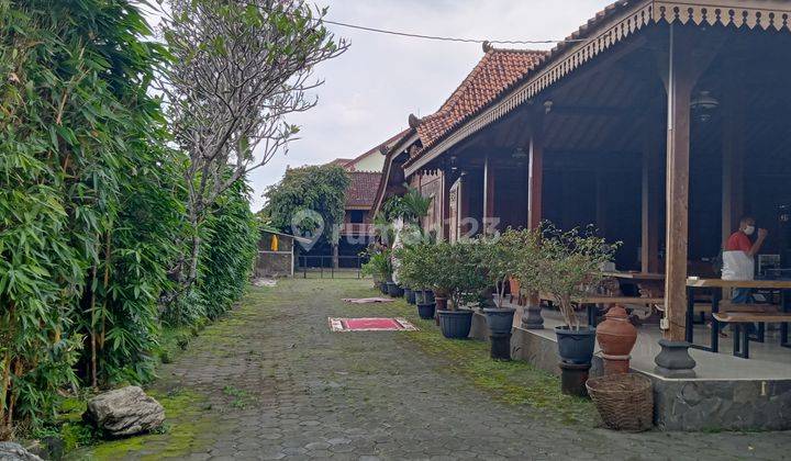 Rumah dan Ruang Usaha Cocok Buat Guest House di Yogyakarta  1