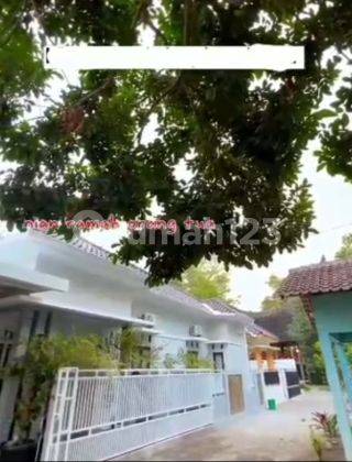 Rumah Furnished Siap Pakai di Yogyakarta  2