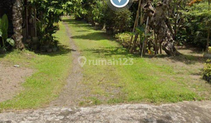 Rumah Strategis Cocok Buat Kantor dan Usaha di Yogyakarta  2