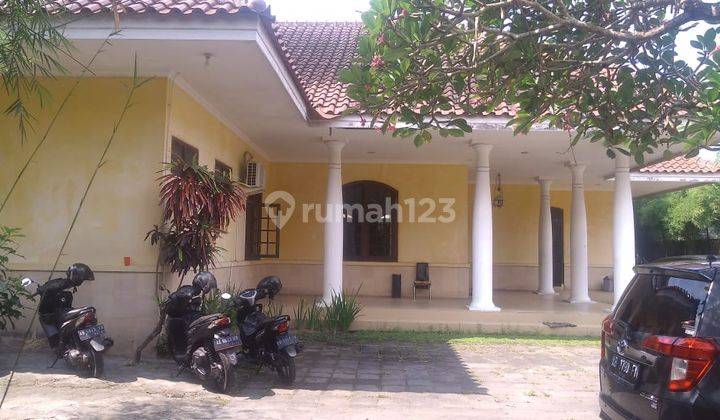 Rumah Nyaman Di Tengah Kota Yogyakarta  2