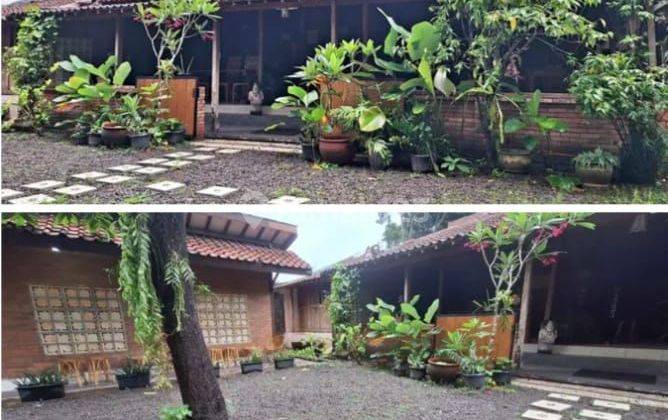 Rumah Joglo  Cocok Buat Kantor atau Cafe di Yogyakarta  2