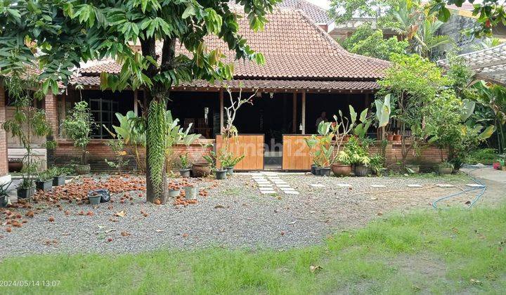 Rumah Joglo  Cocok Buat Kantor atau Cafe di Yogyakarta  1