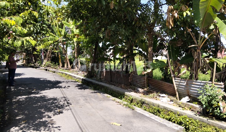 Tanah Sawah Lokasi Strategis Cocok Buat Tempat Tinggal Di Sleman Yogyakarta