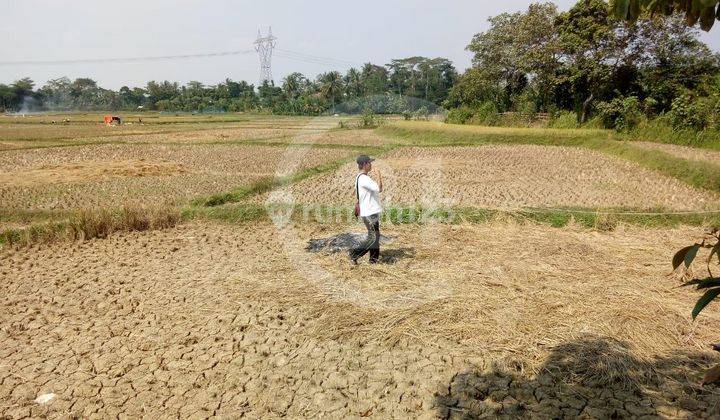 Dijual Tanah Darat Sawah di Serang Banten 1