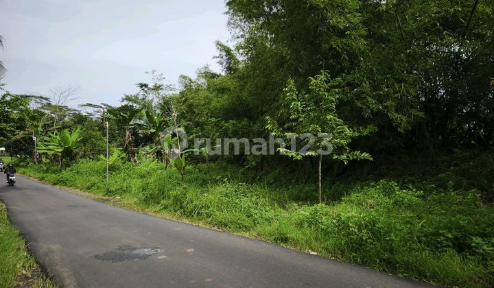 Tanah Pinggir Jalan Raya Zona Kuning di Gunung Pati Semarang 1