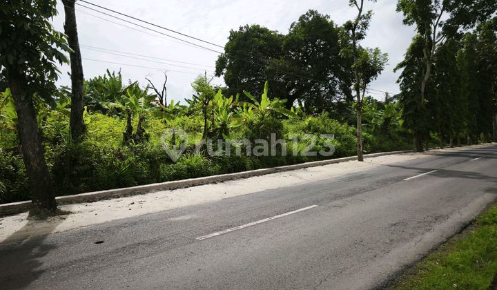 Tanah Strategis Pinggir Jalan Raya di Gunung Pati Semarang 1
