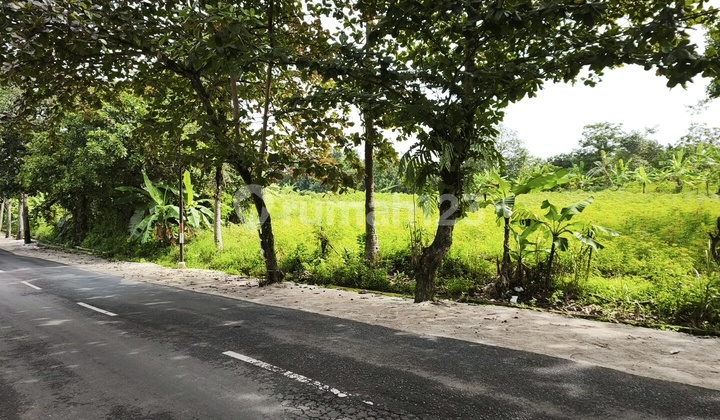 Tanah Strategis Pinggir Jalan Raya di Gunung Pati Semarang 2