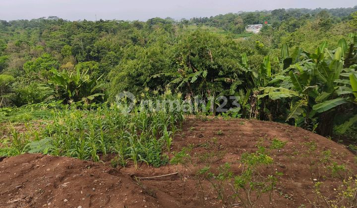 Tanah Kebun Dekat Obyek Wisata Kali Gedhe Mijen Semarang 2