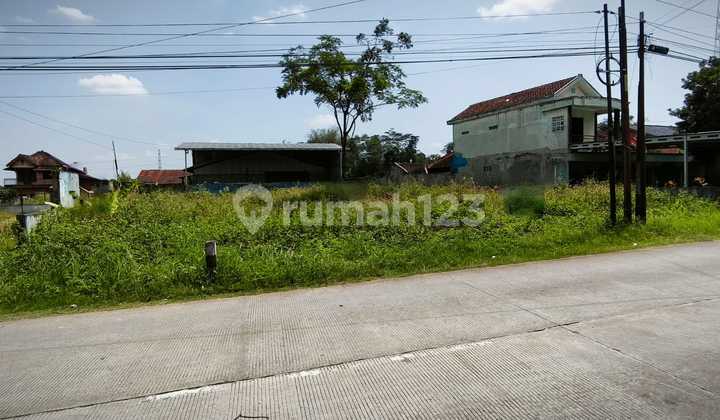 Strategic Land for Sale on the Side of Boja Kendal Main Road Strategic Land for Sale on the Side of Boja Kendal Main Road
