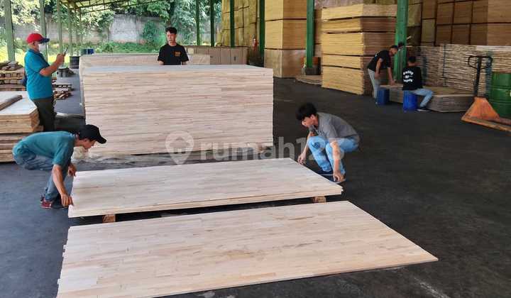 Plywood Factory with Machinery for Sale in Gringsing Batang