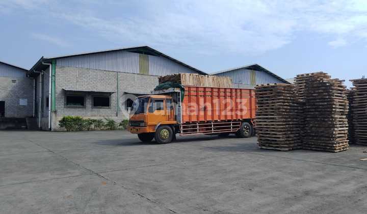 Plywood Factory with Machinery for Sale in Gringsing Batang