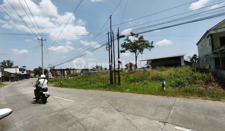 Strategic Land for Sale on the Side of Boja Kendal Main Road Strategic Land for Sale on the Side of Boja Kendal Main Road