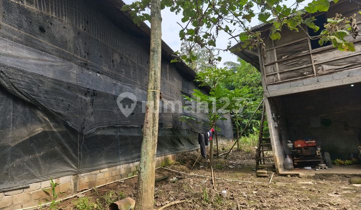 Tanah Beserta Kandang Shm Dijual Di Boja Kendal 