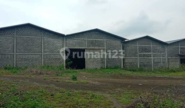 Gudang Murah Strategis Pinggir Jalan di Gunung Pati Semarang 2