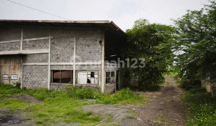 Warehouse for Sale by the Side of Pantura Highway Gringsing Batang Warehouse for Sale by the Side of Pantura Highway Gringsing Batang