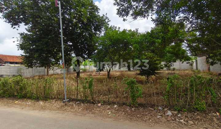 Tanah Dekat BSB Hook Murah Strategis Hanya 10 M Dari Jalan Raya Mijen Semarang 1