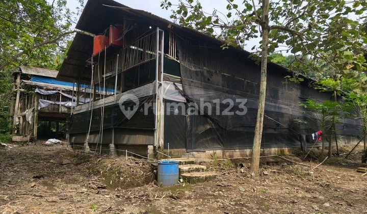 Tanah Beserta Kandang Shm Dijual Di Boja Kendal 